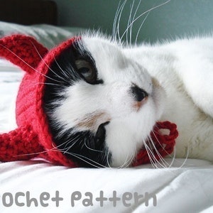 CROCHET PATTERN Pet Hat Costume PDF Instant Download Devil Cat Cute Halloween Disguise image 1