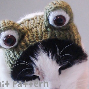 Pode incluir: Um gato preto e branco usando um chapéu de sapo de tricô verde com grandes olhos castanhos. O chapéu tem um padrão de tricô texturizado.