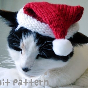 May include: A black and white cat wearing a red and white knitted Santa hat. The cat is lying down with its head resting on a white surface.