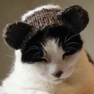 KNITTING PATTERN Pet Hat Costume PDF Instant Download Teddy Bear Cat Cute Halloween Disguise image 2