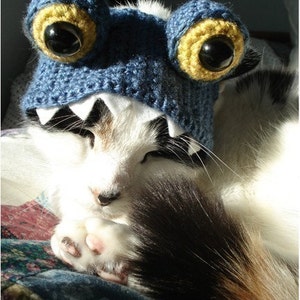 CROCHET PATTERN Pet Hat Costume PDF Instant Download Monster Cat Cute Halloween Disguise image 2