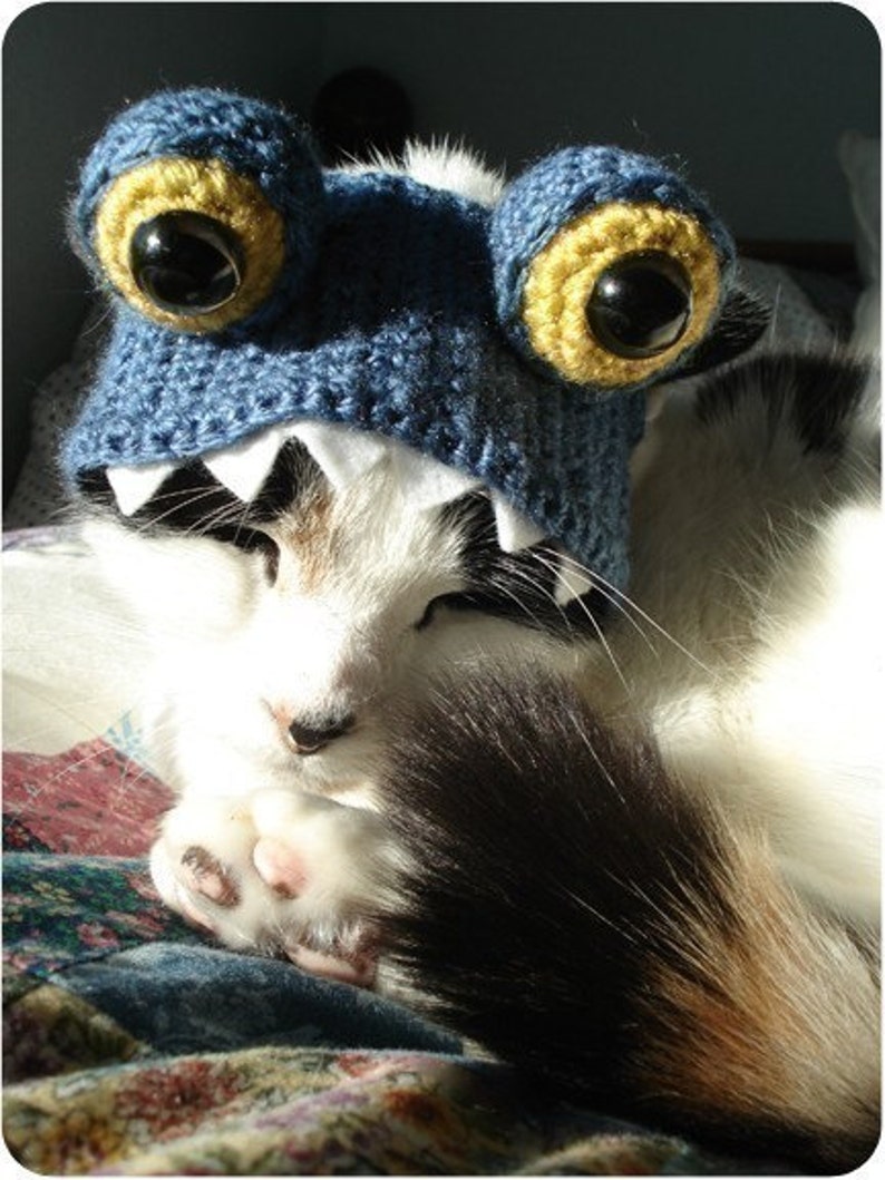 CROCHET PATTERN Pet Hat Costume PDF Instant Download Monster Cat Cute Halloween Disguise image 2