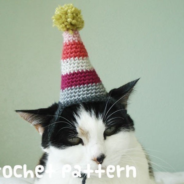 CROCHET PATTERN - Pet Hat Costume - PDF Instant Download - Birthday Party Cat - Cute Gift