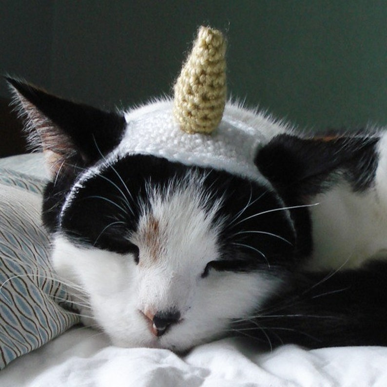 CROCHET PATTERN Pet Hat Costume PDF Instant Download Unicorn Cat Cute Halloween Disguise image 3