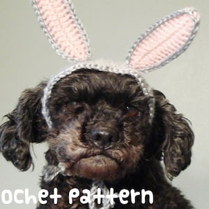 May include: A brown dog wearing a crocheted bunny ear headband. The headband is grey and pink.
