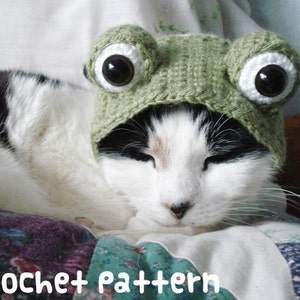 CROCHET PATTERN Pet Hat Costume PDF Instant Download Frog Cat Cute Halloween Disguise image 1