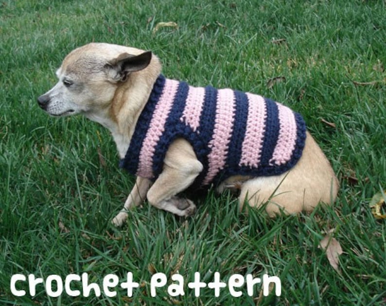 CROCHET PATTERN Dog Sweater PDF Instant Download Cute Etsy