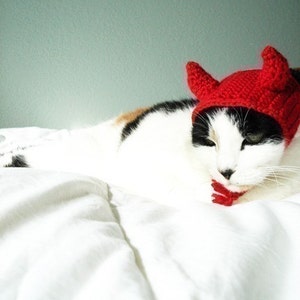 CROCHET PATTERN Pet Hat Costume PDF Instant Download Devil Cat Cute Halloween Disguise image 3