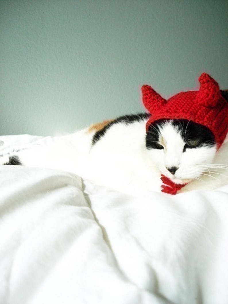 CROCHET PATTERN Pet Hat Costume PDF Instant Download Devil Cat Cute Halloween Disguise image 3