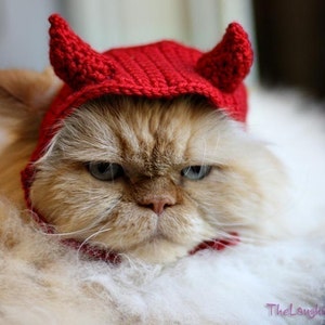 CROCHET PATTERN Pet Hat Costume PDF Instant Download Devil Cat Cute Halloween Disguise image 2