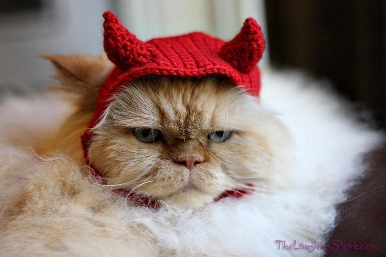 CROCHET PATTERN Pet Hat Costume PDF Instant Download Devil Cat Cute Halloween Disguise image 2