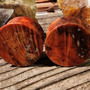 Puede incluir: Dos tapones para los oídos de madera con un tono marrón rojizo y patrones de vetas únicos. Los tapones tienen forma cilíndrica y se exhiben sobre una superficie de madera. La madera presenta pequeñas inclusiones de color claro, lo que aumenta su estética natural. Joyería corporal.