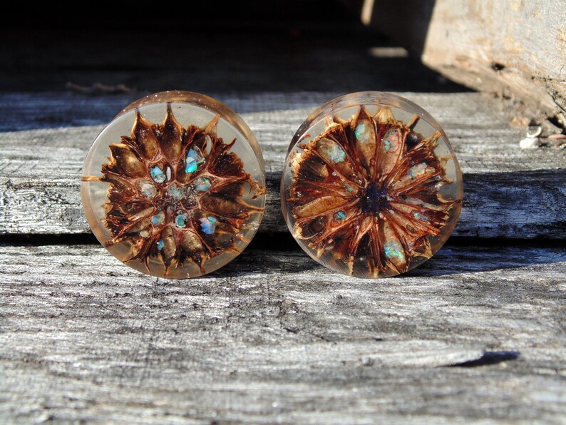 suspended in clear acrylic with micro pink glitter. 20/%offsummersale 30mm Original 3D cast Sweet Gum pod plugs Fire opal inlay
