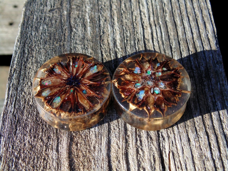 suspended in clear acrylic with micro pink glitter. 20/%offsummersale 30mm Original 3D cast Sweet Gum pod plugs Fire opal inlay