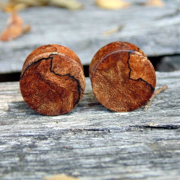 16mm Spaulted Maple burl wood ear plugs, hand crafted 5/8" gauge set of flesh plugs. Bonus single backup plug!