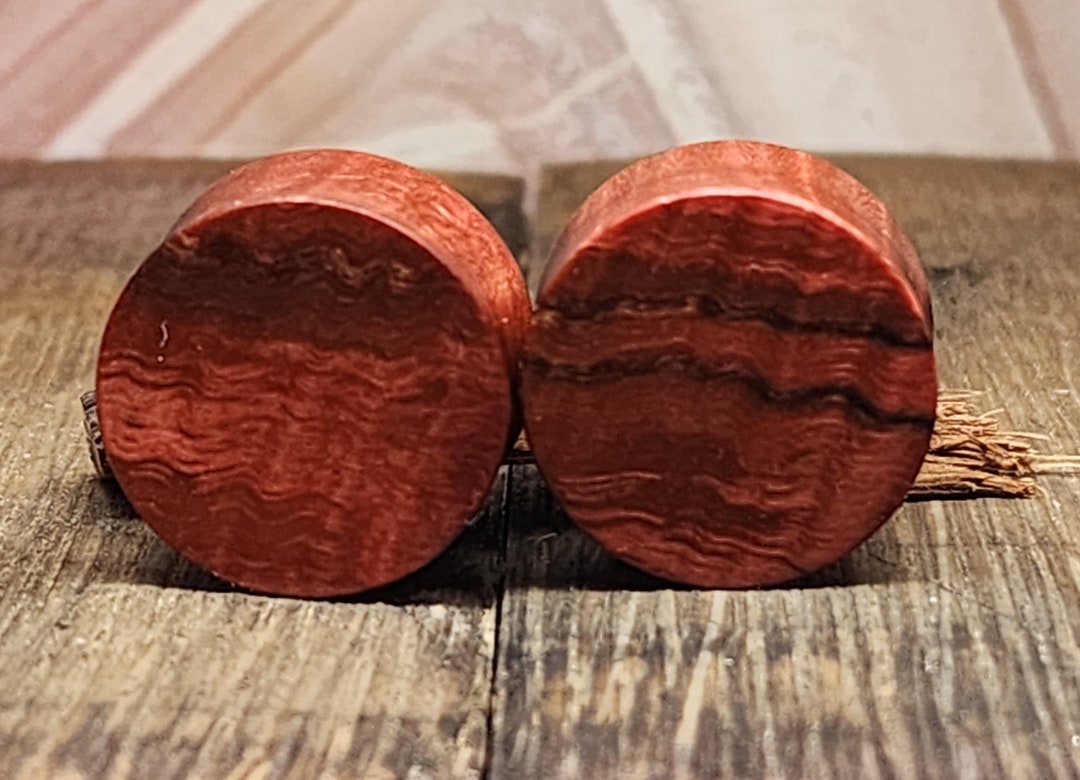 22mm Spaulted Maple Burl Wood Ear Plugs. Blood Orange Pigment Enhanced