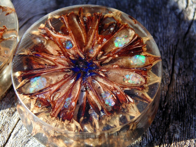 suspended in clear acrylic with micro pink glitter. 20/%offsummersale 30mm Original 3D cast Sweet Gum pod plugs Fire opal inlay