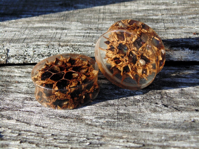 suspended in clear acrylic with micro pink glitter. 20/%offsummersale 30mm Original 3D cast Sweet Gum pod plugs Fire opal inlay