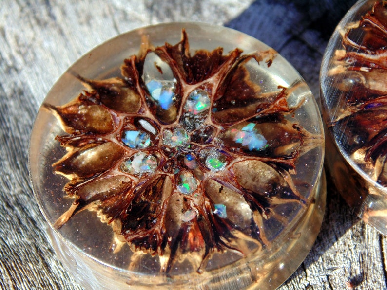 suspended in clear acrylic with micro pink glitter. 20/%offsummersale 30mm Original 3D cast Sweet Gum pod plugs Fire opal inlay