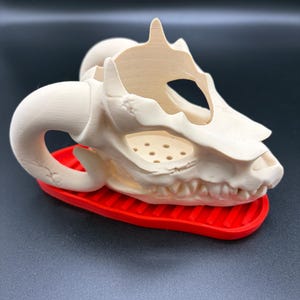 Dragon Skull Planter with drip tray