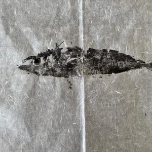 Gyotaku Fish Print: Original Japanese Mackerel Art, Coastal Wall Decor