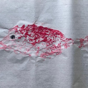 Original Gyotaku Print of Pagellus erythrinus Red Seabream Fish Art, Japanese Fish Rubbing, Ocean-Inspired Wall Decor, Coastal Nautical Gift