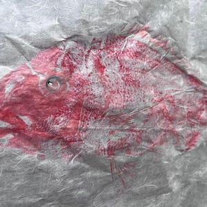 Original Gyotaku Print of Pagellus erythrinus Red Seabream Fish Art, Japanese Fish Rubbing, Ocean-Inspired Wall Decor, Coastal Nautical Gift