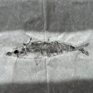 Gyotaku Fish Print: Original Japanese Mackerel Art, Coastal Wall Decor