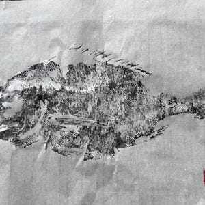 Original Gyotaku Dorado Fish Print: Japanese Fish Rubbing Art