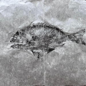 Original Gyotaku Dorado Fish Print: Japanese Fish Rubbing Art
