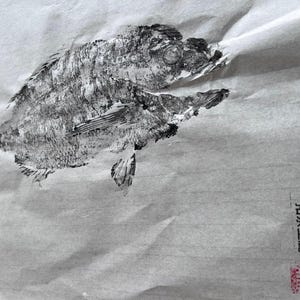 Original Gyotaku Dorado Fish Print: Japanese Fish Rubbing Art