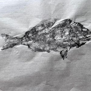 Original Gyotaku Dorado Fish Print: Japanese Fish Rubbing Art