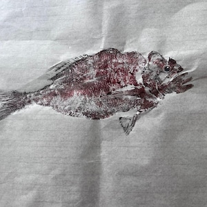 Original Gyotaku Dorado Fish Print: Japanese Fish Rubbing Art