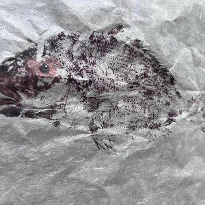 Original Gyotaku Print of Pagellus erythrinus Red Seabream Fish Art, Japanese Fish Rubbing, Ocean-Inspired Wall Decor, Coastal Nautical Gift