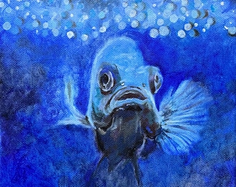 Original Oil Painting, Blue fish Art, Contemporary Still Life (20x20cm)