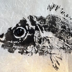 Gyotaku Fish Print – Pagelus, Hand-Printed Japanese Art