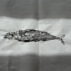 Gyotaku Fish Print: Original Japanese Mackerel Art, Coastal Wall Decor