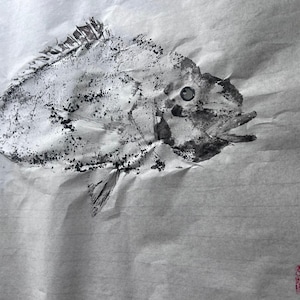 Original Gyotaku Print of Pagellus erythrinus Red Seabream Fish Art, Japanese Fish Rubbing, Ocean-Inspired Wall Decor, Coastal Nautical Gift