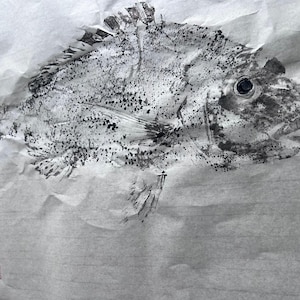 Original Gyotaku Print of Pagellus erythrinus Red Seabream Fish Art, Japanese Fish Rubbing, Ocean-Inspired Wall Decor, Coastal Nautical Gift