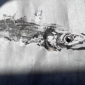 Impresión de merluza Gyotaku: arte japonés con tinta sumi, decoración costera