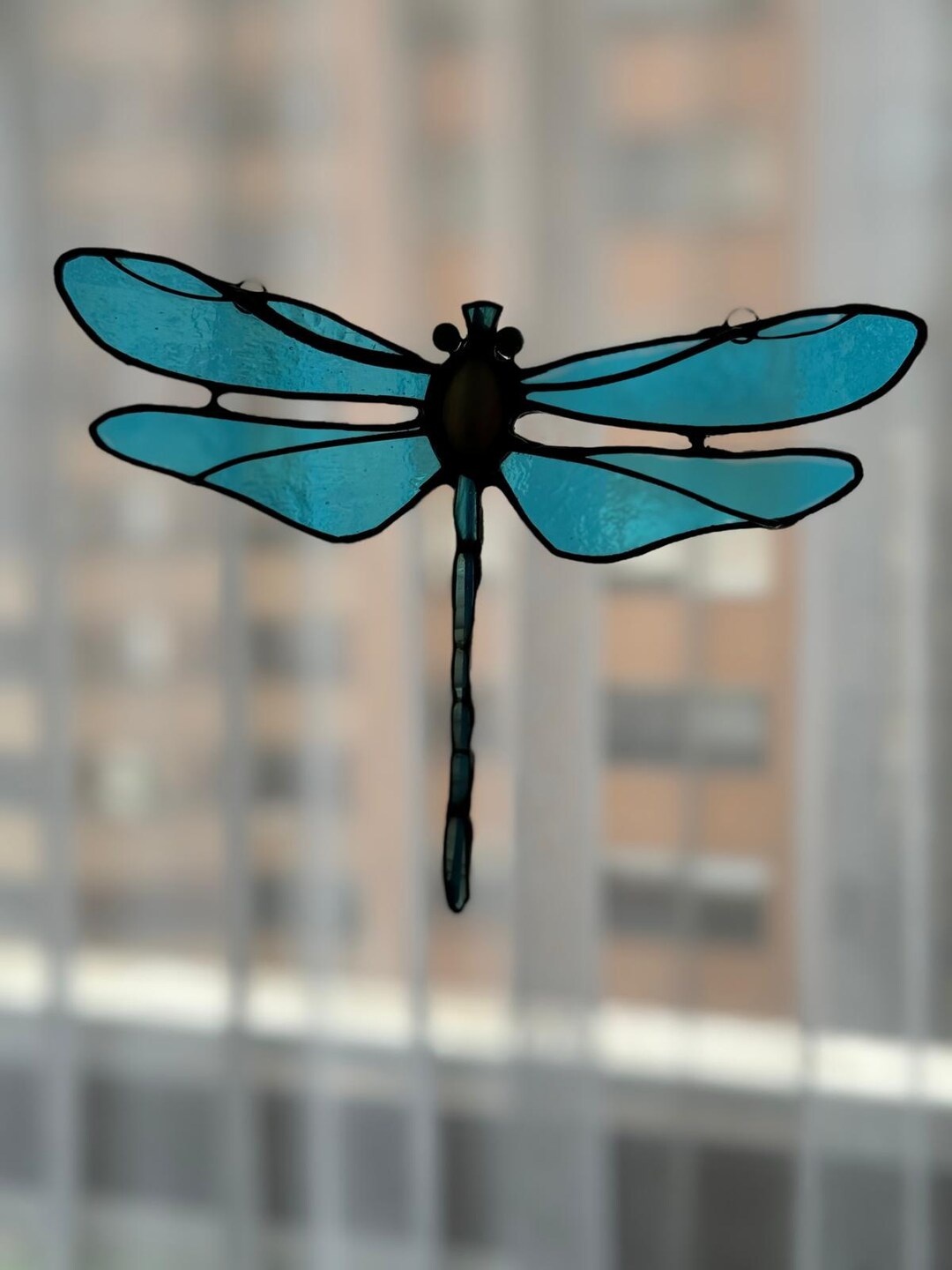 Tom　銅版画手彩色　昆虫　トンボ　フレーム付 814yWpILr2L._AC_UF350,