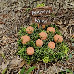 May include: A miniature pumpkin patch scene. A wooden sign, reading "Pumpkin Patch", sits amongst green moss and small, orange pumpkins. The backdrop is a tree trunk, creating a rustic, autumnal feel.