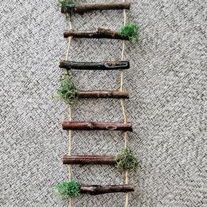May include: A miniature wooden ladder with natural brown branches as steps, connected by twine. Green moss accents are placed between the steps. The ladder is designed for decorative purposes.