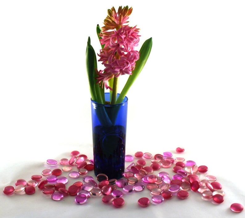 Hyacinth Bulb Forcing Kit Set Of 1 Blue Glass Vase 1 Etsy