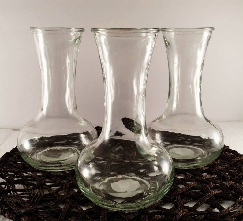 Hyacinth Vase Hyacinth Bulb Forcing Vase Bulb Forcing Vase Etsy