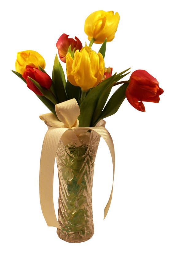 Ready To Grow Tulip Bulb Gift Decorative Glass Vase 50