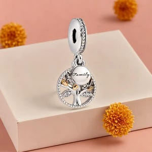 Può includere: Un charm in argento con un design ad albero della vita, con foglie color oro e un pendente rotondo con la scritta "Family". Il charm ha un anello nella parte superiore, incrostato di piccole pietre trasparenti. Lo sfondo è rosa tenue con accenti floreali arancioni.