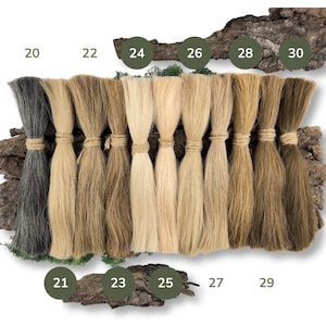 Op de afbeelding: Tien strengen menselijk haar in verschillende tinten blond, bruin en grijs, genummerd van 20 tot 30. De haarstrengen zijn in een rij op een stuk hout gerangschikt.
