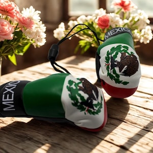 May include: A pair of boxing gloves featuring the colours of the Mexican flag, green, white, and red, with the Mexican coat of arms printed on the white section and the word MEXICO in white capital letters on the black wrist cuff area.