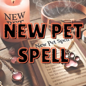 May include: A book with the title "New Pet Spell" on a wooden surface with pink candles, a leather collar, and a pink paw charm necklace.